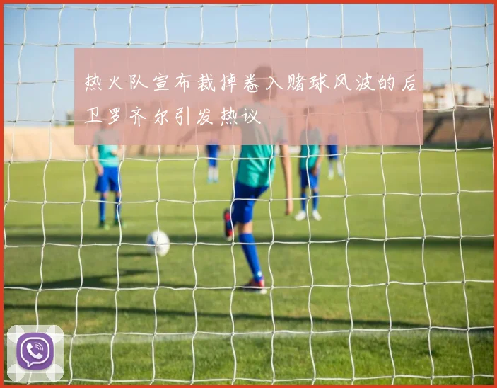 热火队宣布裁掉卷入赌球风波的后卫罗齐尔引发热议