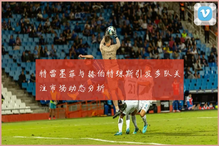 特雷墨菲与赫伯特琼斯引发多队关注市场动态分析