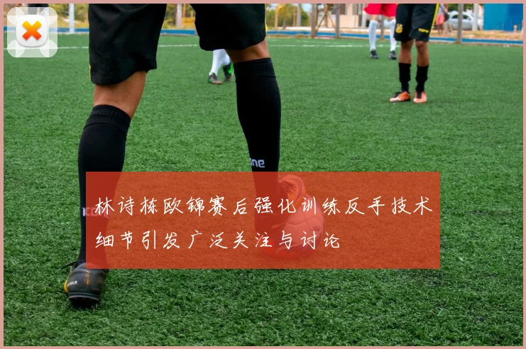 林诗栋欧锦赛后强化训练反手技术细节引发广泛关注与讨论